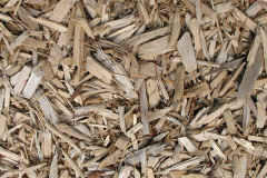 biomass boilers Sheraton
